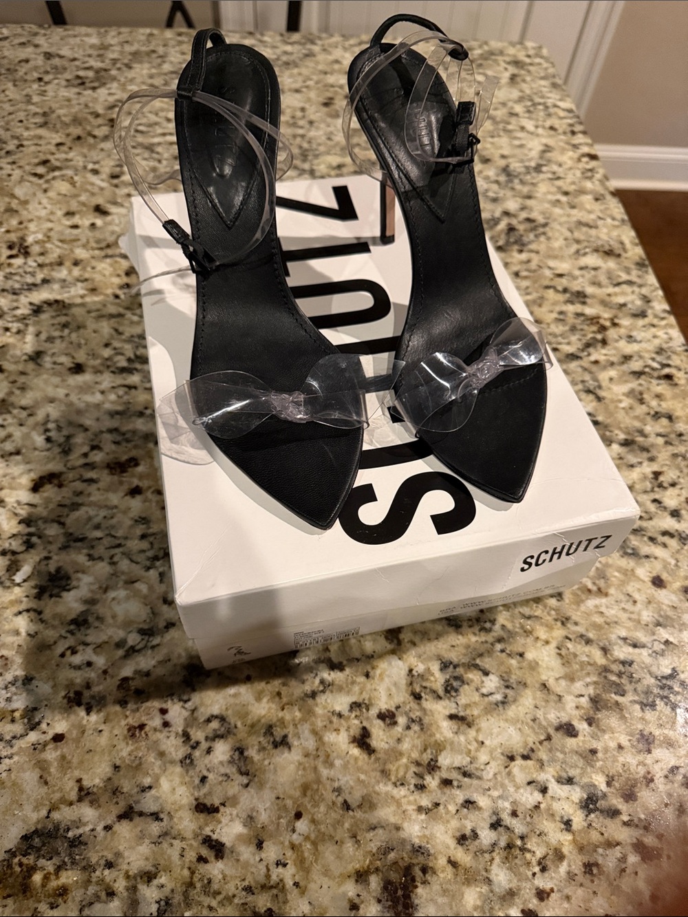 SCHUTZ Black Pointed Toe Heels with Clear Straps